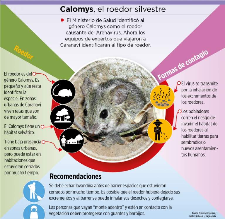 Vector del virus habita en Beni, Cochabamba, y ya llegó a La Paz