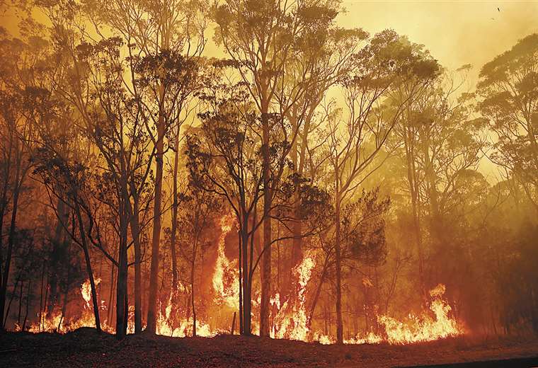 Se agrava la situación por los incendios en Australia