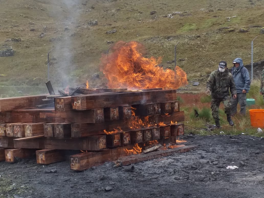 Tonelada y media de cocaína escondida en madera es incinerada